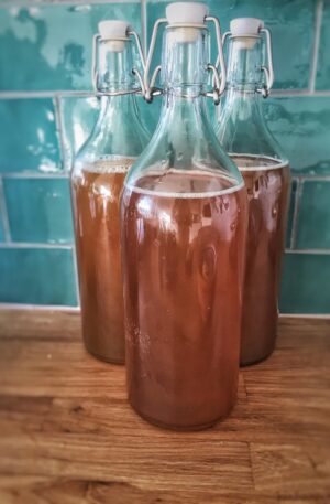 Atelier de Boissons Lacto-fermentées le 5/10 à 14h